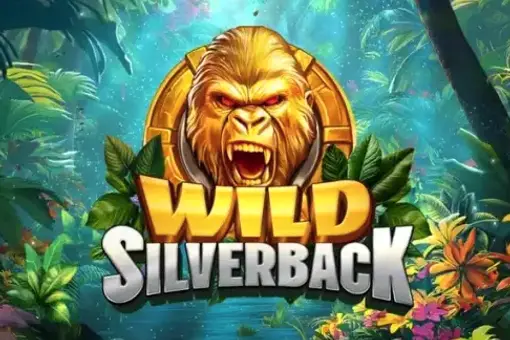 Wild Silverback