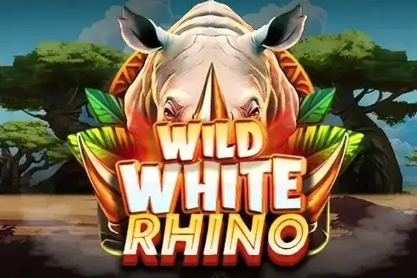 Wild White Rhino